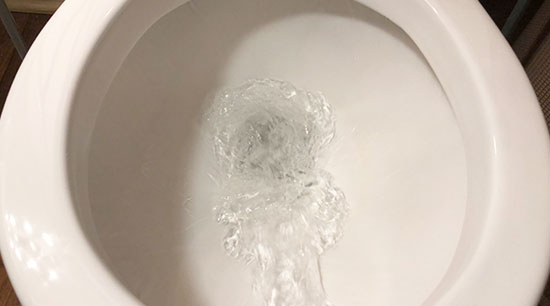 https://www.alpharettawaterdamageremoval.com/wp-content/uploads/prevent-clogged-toilets.jpg